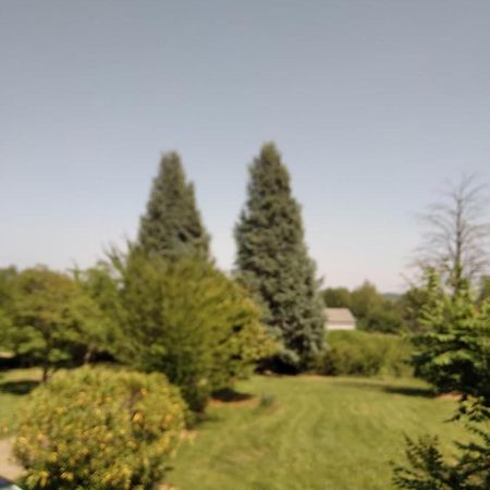 F2 Coquet A 20Mn De Marciac Saint-Martin (Gers) Kültér fotó